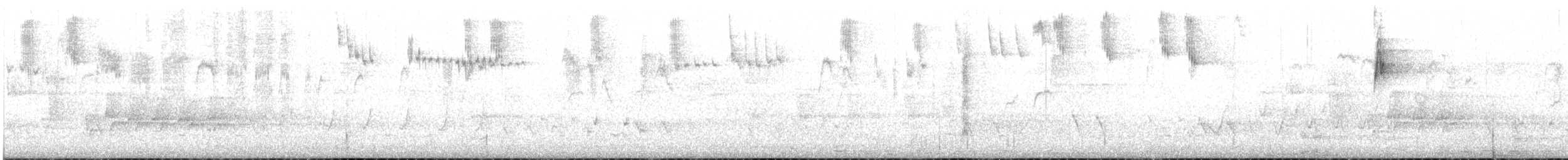 Splendid Fairywren - ML645700054