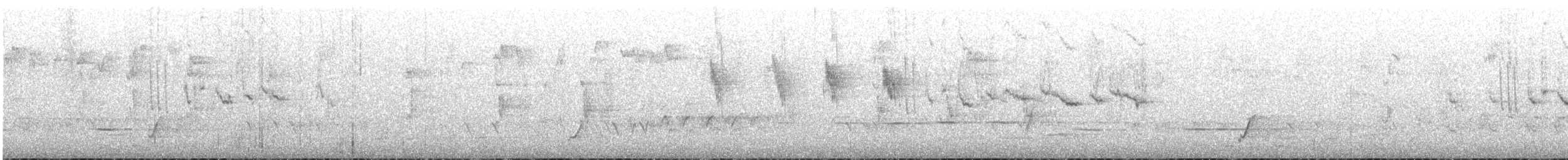 Western Thornbill - ML645700061