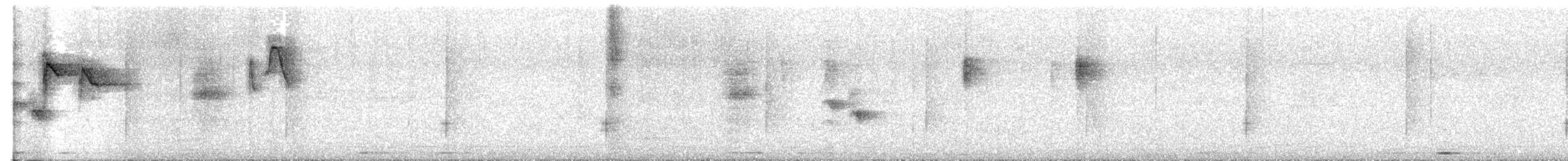 Graudrongo - ML645700064