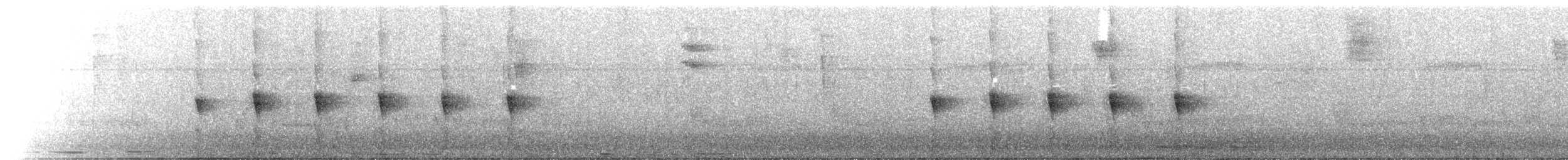 Western Woodhaunter - ML645700125