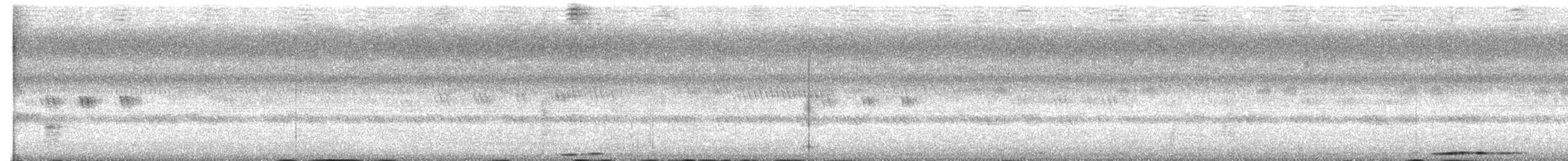 Манговая неясыть - ML645700145