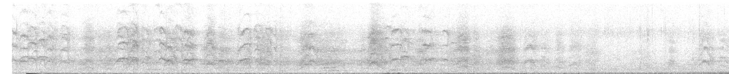 Dschungeldrosselhäherling - ML645700180