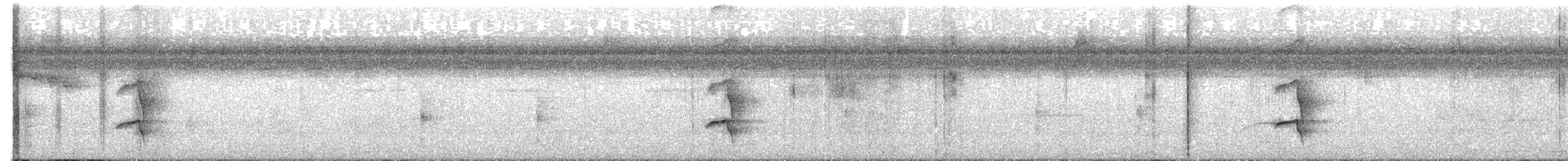 Tropical Royal Flycatcher - ML645700328