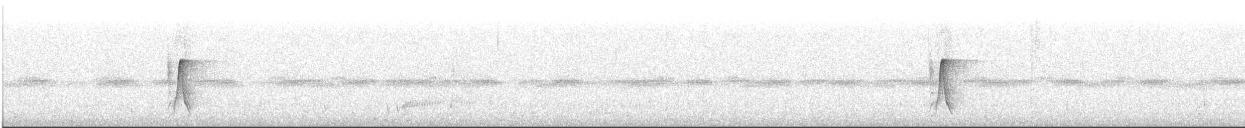 Weißbrustschnäpper - ML645700373