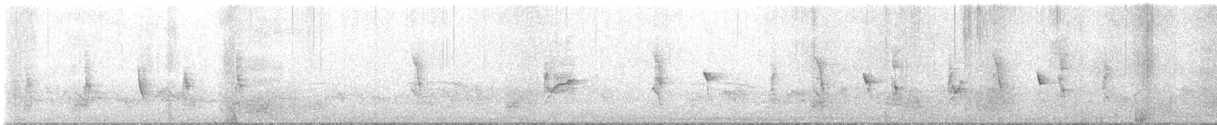 Горная широкохвостка - ML645700459