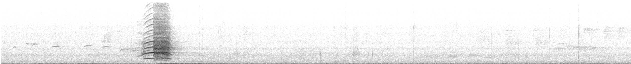 Red-tailed Black-Cockatoo - ML645700491