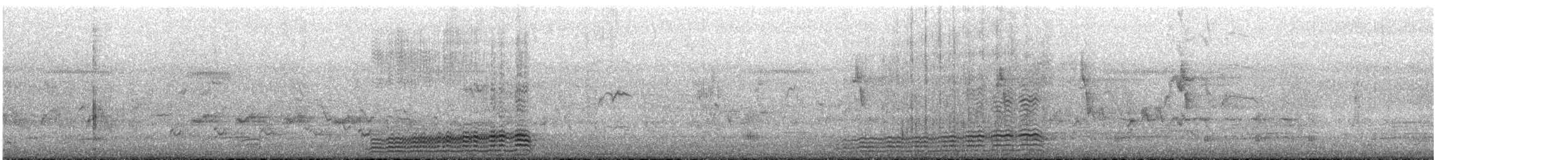 Maned Duck - ML645700497