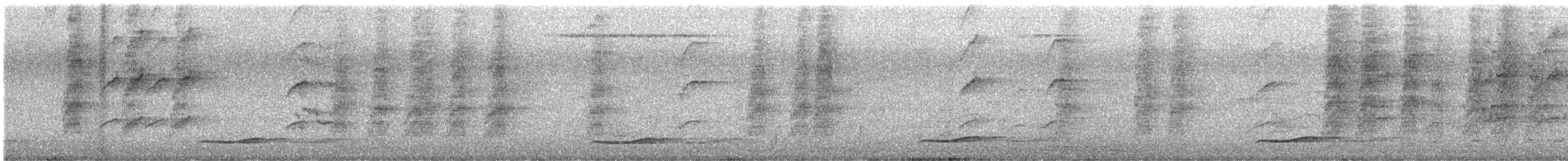 Pacific Koel - ML645700503