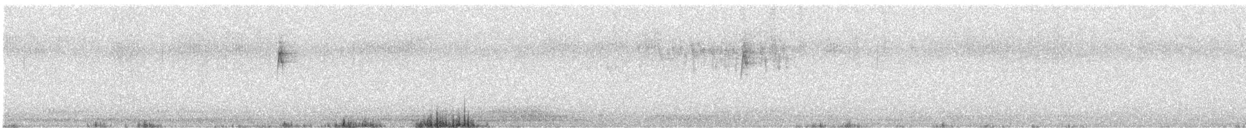 New Holland Honeyeater - ML645700593