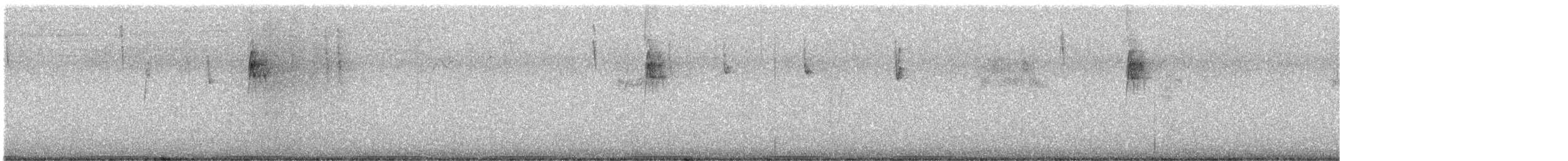 Painted Buttonquail - ML645700607