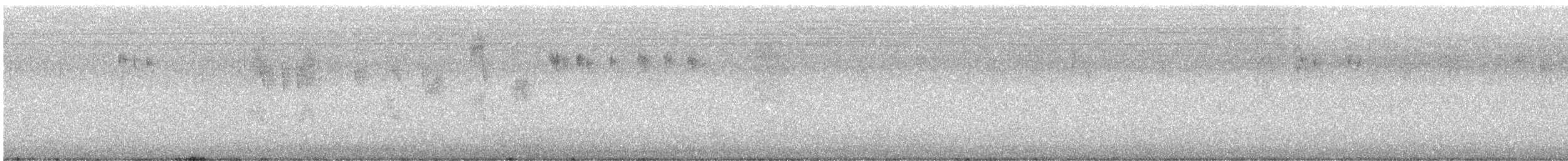 White-browed Scrubwren - ML645700625