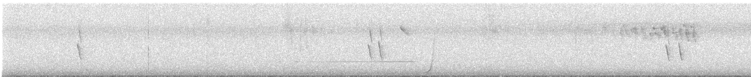 New Holland Honeyeater - ML645700640