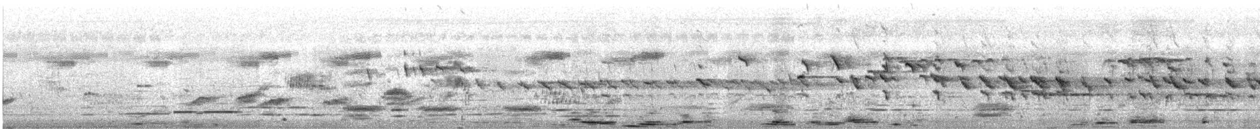 Turdoide Piquigualdo - ML645700725