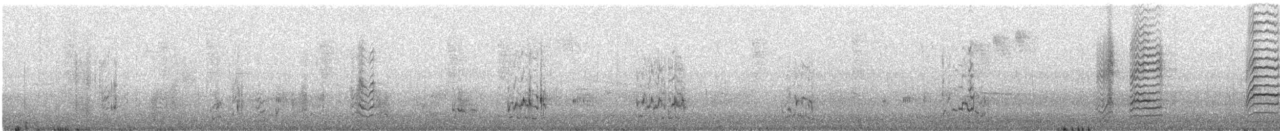 Alcaudón Boreal - ML645700731