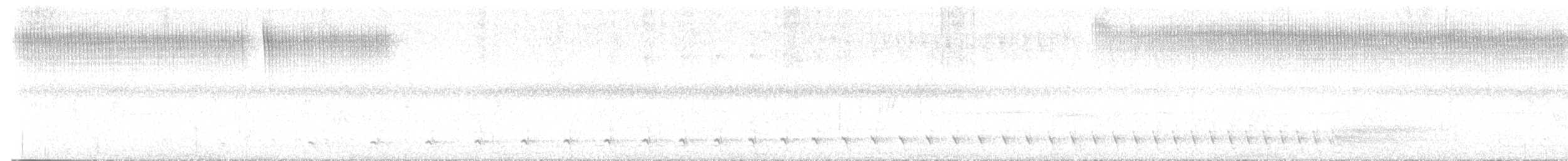 Great Antshrike - ML645701855