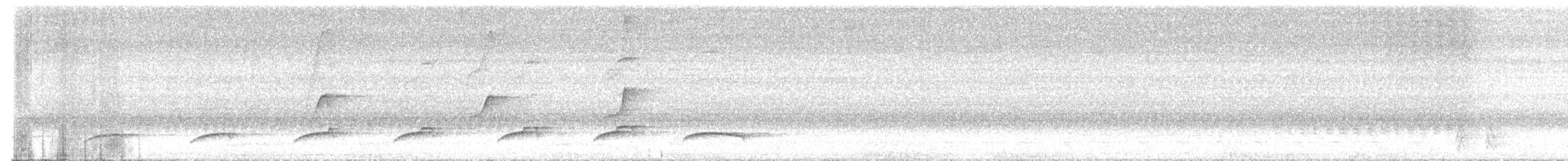 Dull-capped Attila - ML645701919