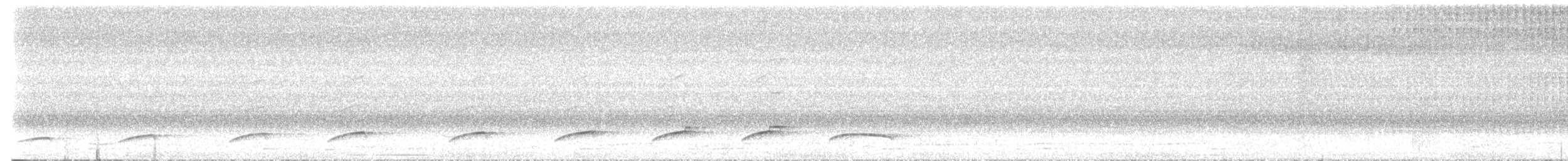 Dull-capped Attila - ML645702254