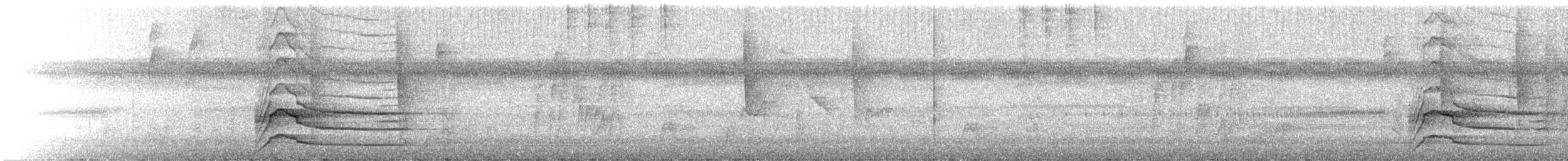 Busardo Caminero - ML645702275