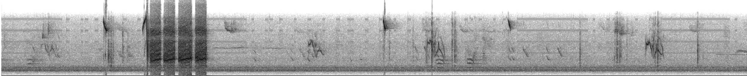 čížek severoamerický - ML645702500