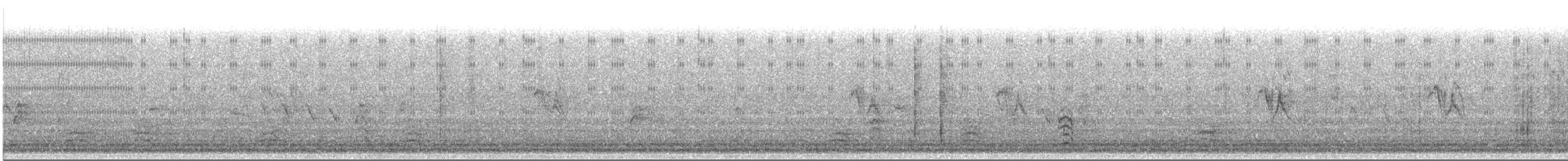 čížek severoamerický - ML645702580