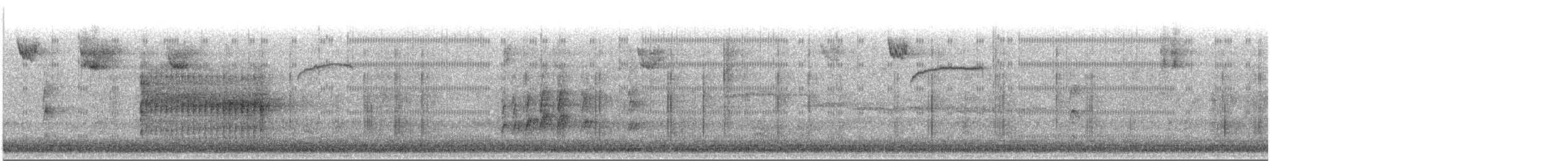 brkoslav americký - ML645702598