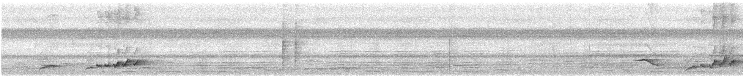 White-rumped Shama - ML645702746