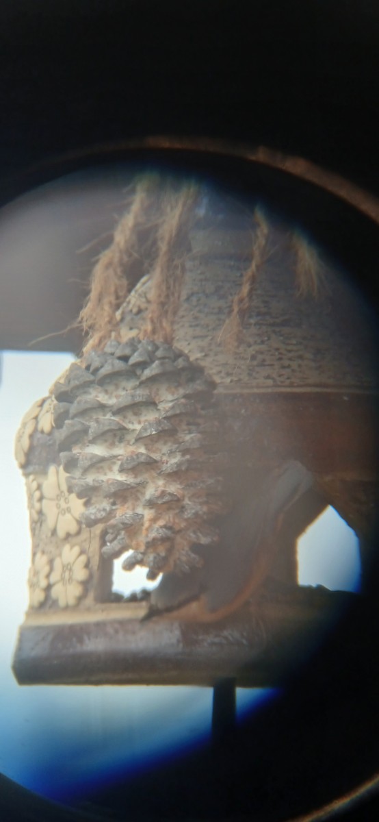 ゴジュウカラ - ML645702766