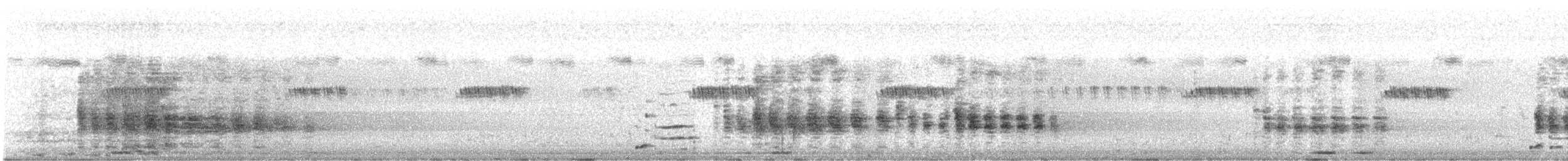 Rufous Treepie - ML645702946