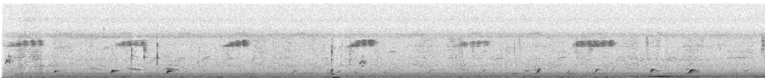 White-breasted Waterhen - ML645702987