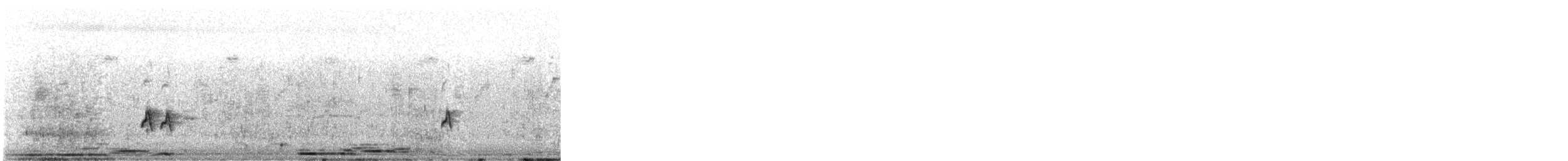 bird sp. - ML645703001