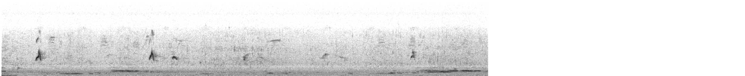 bird sp. - ML645703002