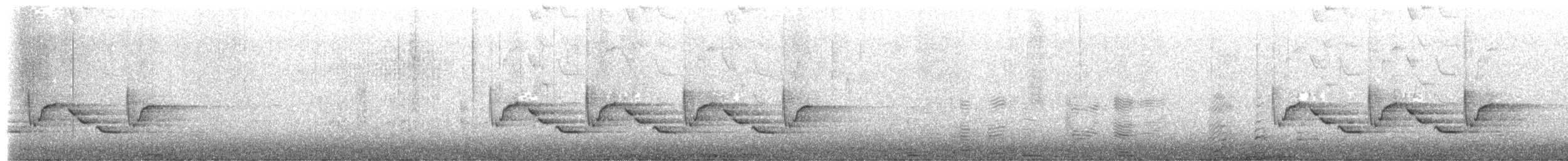 Carolina Wren - ML645703047