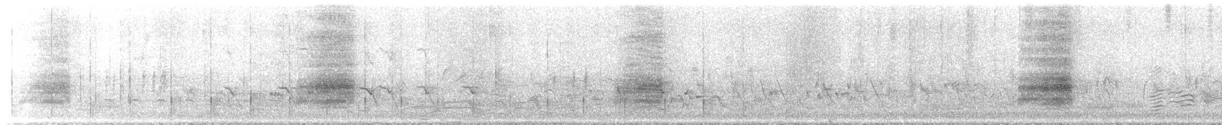 インドハッカ - ML645703289