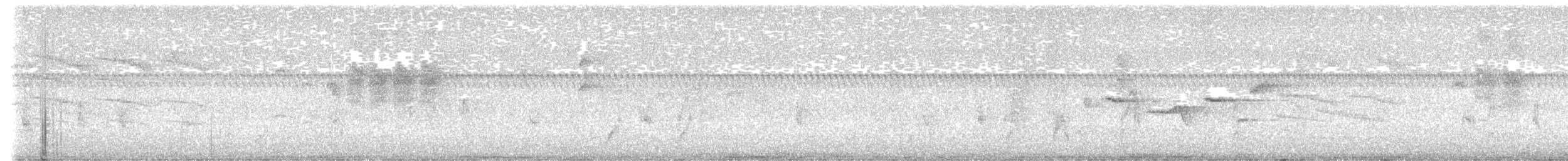 Morrison's Fulvetta - ML645704123