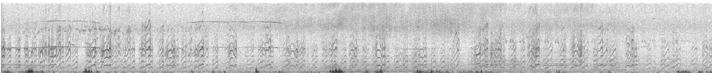 Australian Fairy Tern - ML645705066