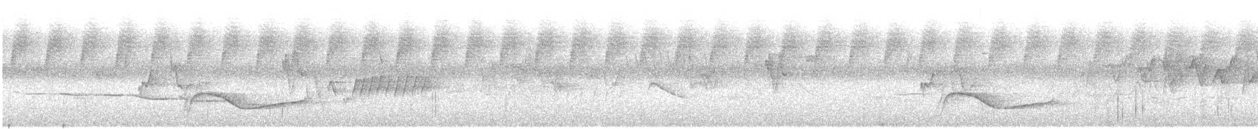 Aves sp. - ML645706115