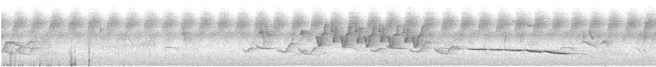 Aves sp. - ML645706286