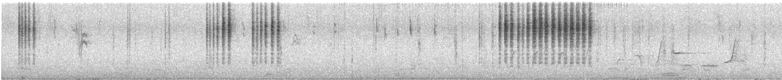 Spotted Scrubwren - ML645706539