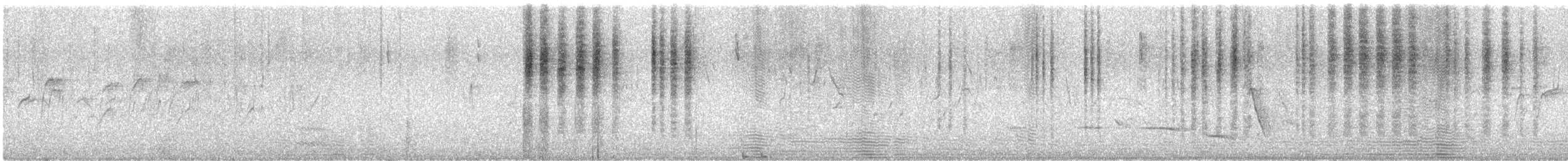 Spotted Scrubwren - ML645706692