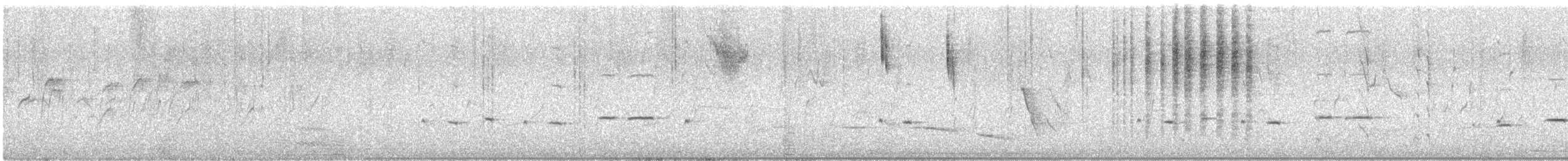 Western Gerygone - ML645706693