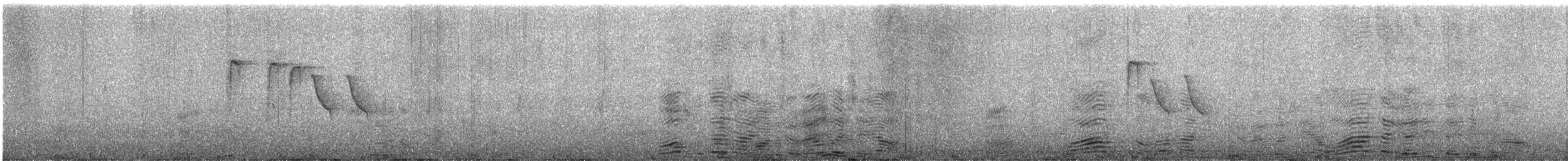 Akça Büyük Baştankara - ML645706834