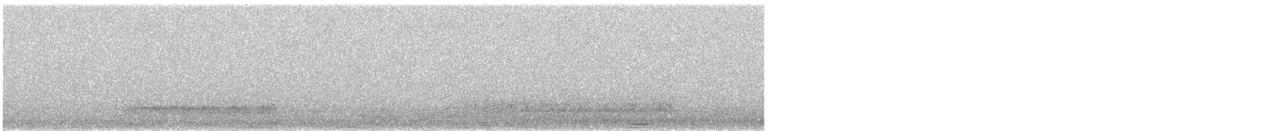 Barbagianni - ML645706984