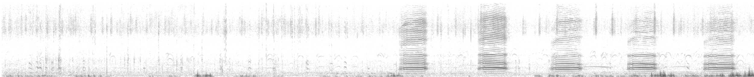 Крук австралійський - ML645707019