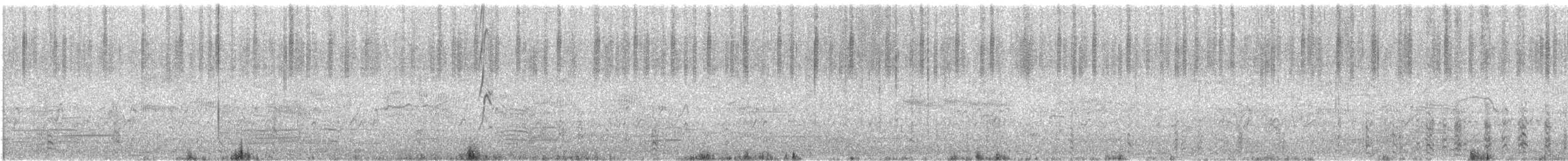 Кулик-довгоніг австралійський - ML645707064