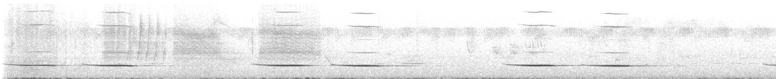 Tropical Boubou - ML645707133