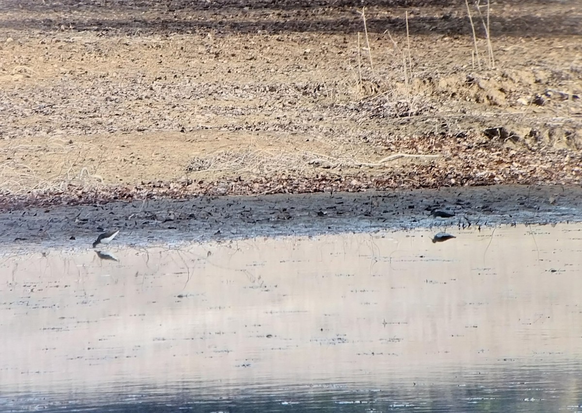 Andarríos Grande - ML645707675