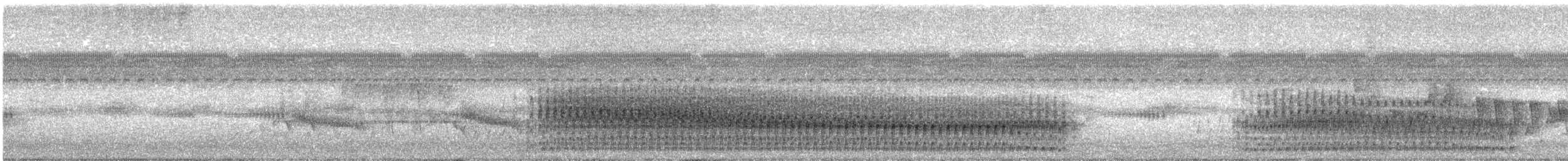 Polluela Carrasqueadora - ML645707753