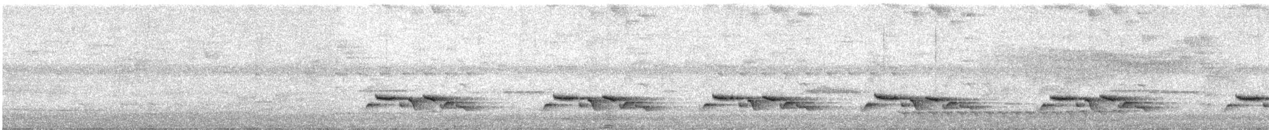 Cucarachero Pechiblanco - ML645707821