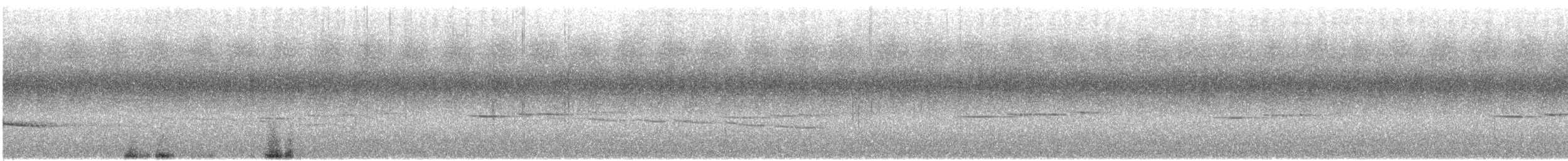 Ave sp. - ML645707838