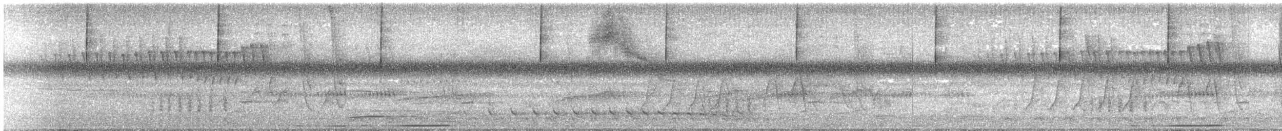 Coludo Colicuña - ML645707863